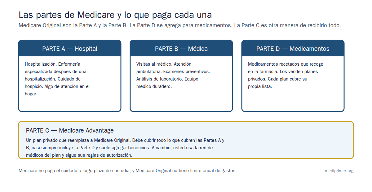 La Parte A cubre la atención hospitalaria. La Parte B cubre a los médicos y la atención ambulatoria. La Parte D cubre los medicamentos recetados. La Parte C, Medicare Advantage, es un plan privado que agrupa todo junto.