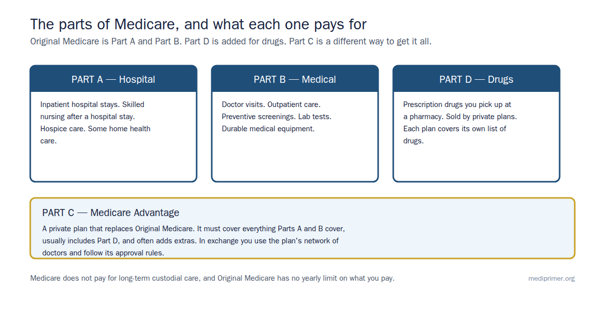 Part A covers hospital care. Part B covers doctors and outpatient care. Part D covers prescription drugs. Part C, Medicare Advantage, is a private plan that bundles them together.