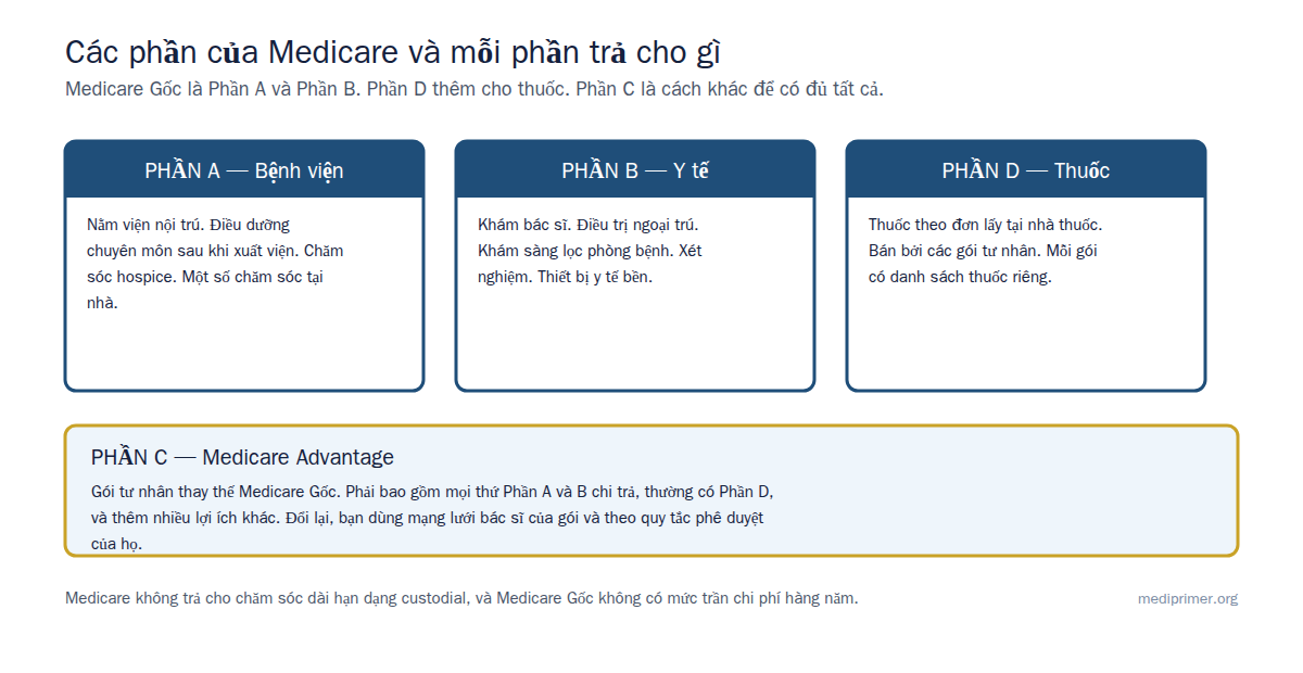 Phần A trả viện phí bệnh viện. Phần B trả cho bác sĩ và điều trị ngoại trú. Phần D trả thuốc theo đơn. Phần C, Medicare Advantage, là gói tư nhân kết hợp tất cả.