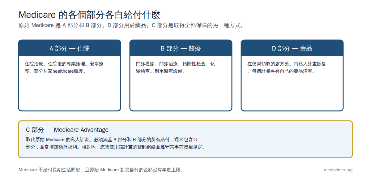 A部分承保住院照護。B部分承保門診醫生看診。D部分承保處方藥。C部分（Medicare Advantage）是把這些整合在一起的私人計劃。
